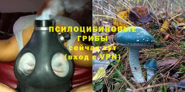бутират Карпинск