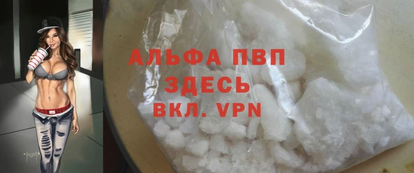 прущие грибы Касимов