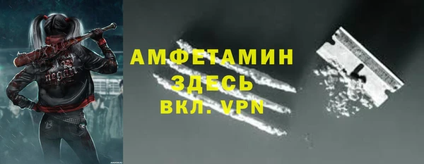 прущие грибы Касимов