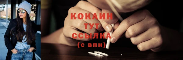 прущие грибы Касимов