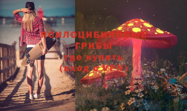 прущие грибы Касимов