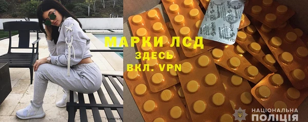 прущие грибы Касимов