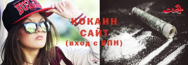 прущие грибы Касимов